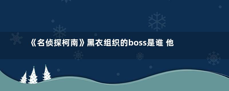 《名侦探柯南》黑衣组织的boss是谁 他的身份是什么